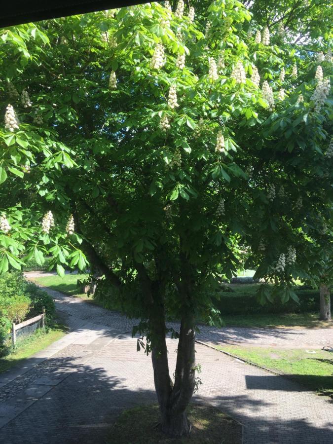 Ferienwohnung Kastanienblick Oder Parkblick, Oder Unser Radlerzimmer! Ziethen  Екстериор снимка