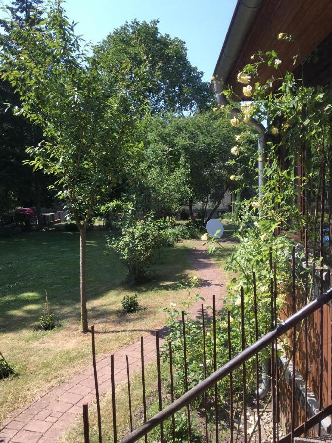 Ferienwohnung Kastanienblick Oder Parkblick, Oder Unser Radlerzimmer! Ziethen  Екстериор снимка